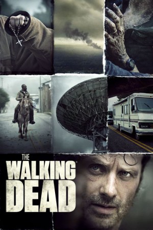 the-walking-dead-season-6-b-rick-lincoln-key-art-400x600-logo-v1.jpg